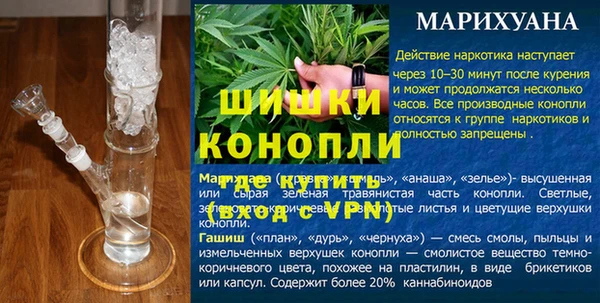 ГАЛЛЮЦИНОГЕННЫЕ ГРИБЫ Рославль