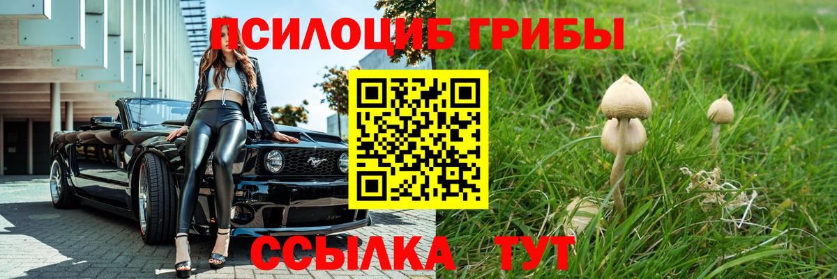 Галлюциногенные грибы MAGIC MUSHROOMS  Вход с VPN  Азнакаево 
