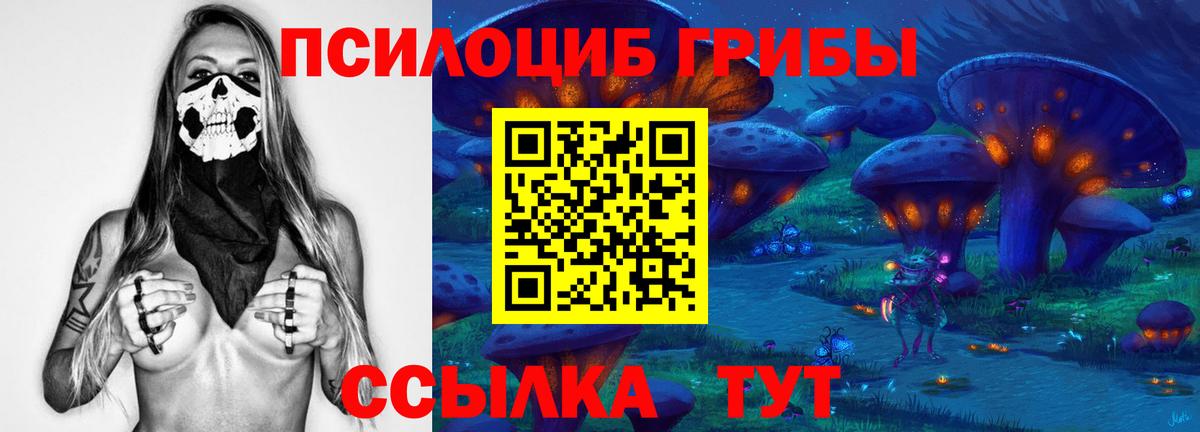 Псилоцибиновые грибы прущие грибы Азнакаево