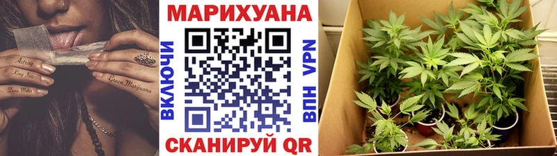 Конопля гибрид Азнакаево